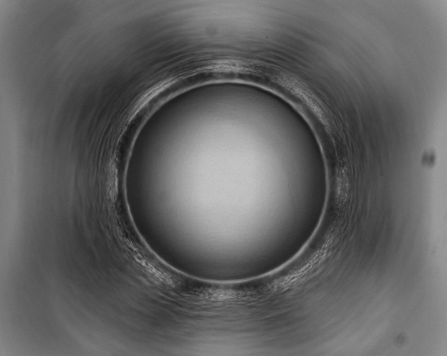 X0000101210829200806271412