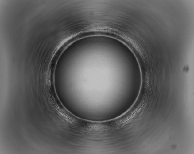 X0000101210830200806271412