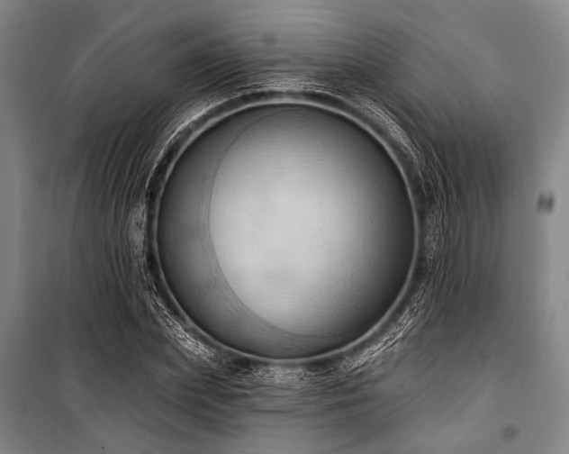 X0000101210831200806271412
