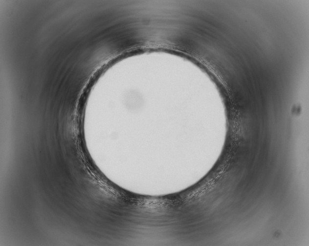 X0000101210832200806271412