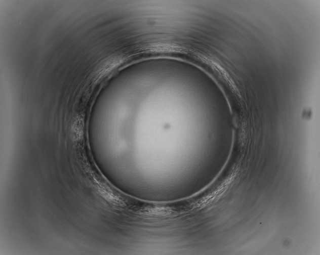 X0000101210833200806271413