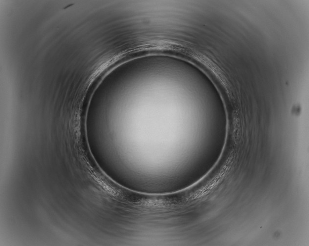 X0000101210834200806271413