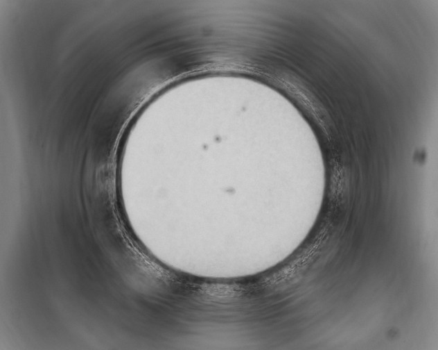 X0000101210836200806271413