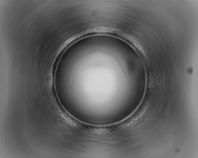 X0000101210837200806271413