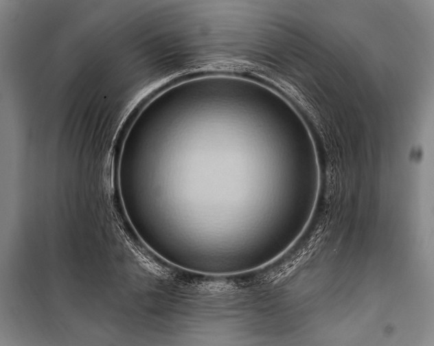 X0000101210838200806271413