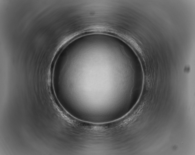 X0000101210839200806271413