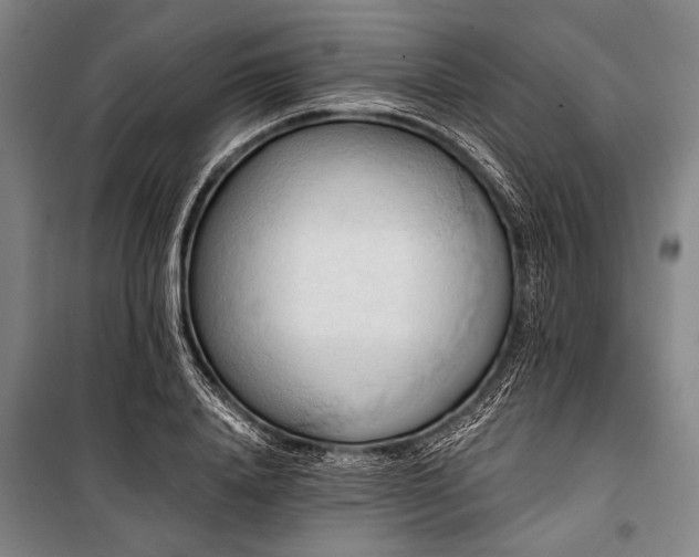 X0000101210840200806271413