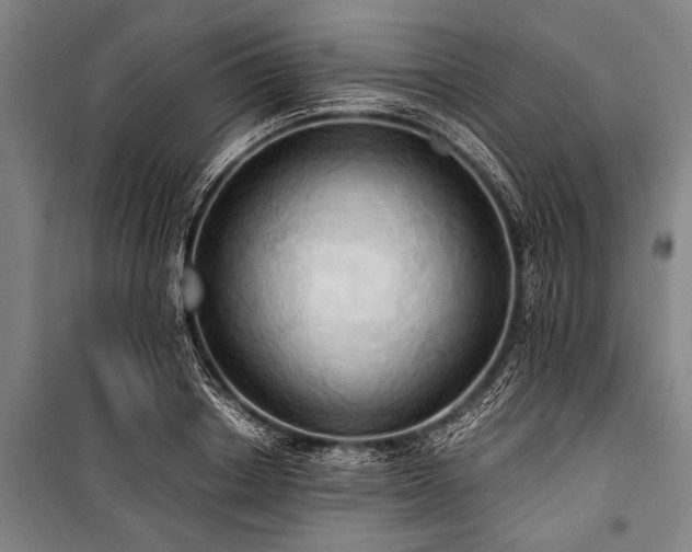 X0000101210842200806271413