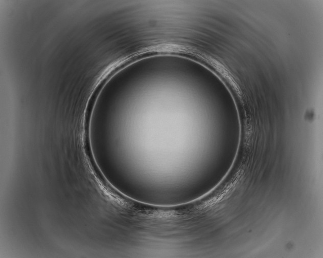 X0000101210845200806271413