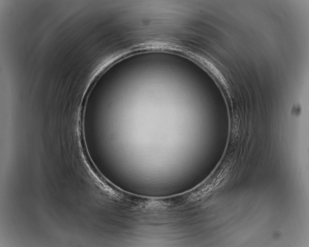 X0000101210847200806271413