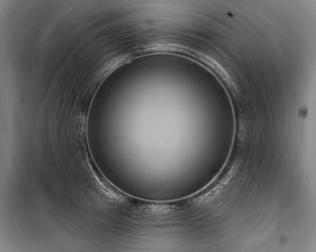 X0000101210849200806271413