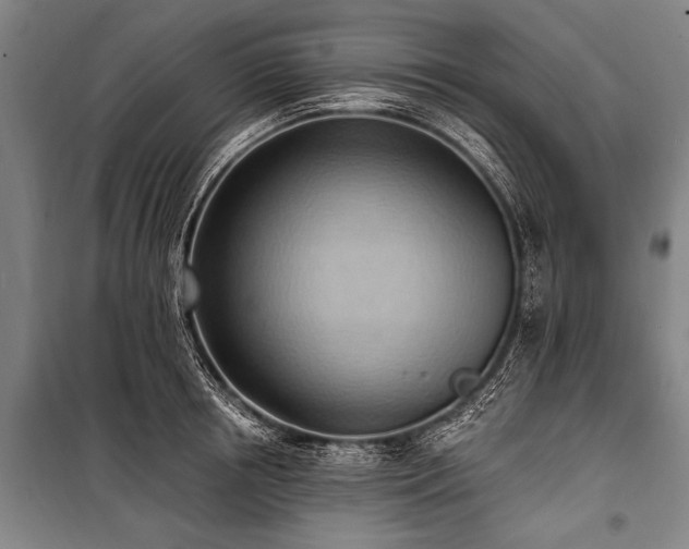 X0000101210850200806271413