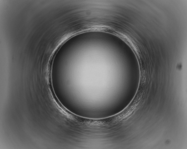 X0000101210851200806271413