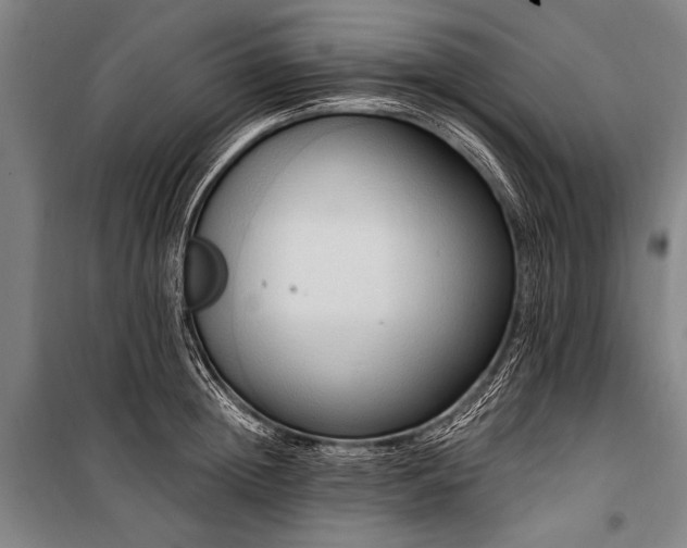 X0000101210852200806271413