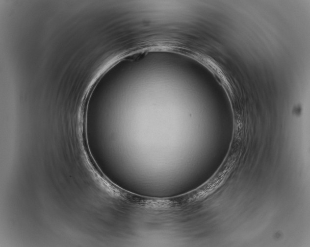 X0000101210859200806271413