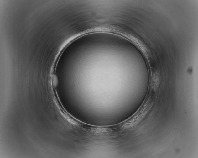 X0000101210862200806271413