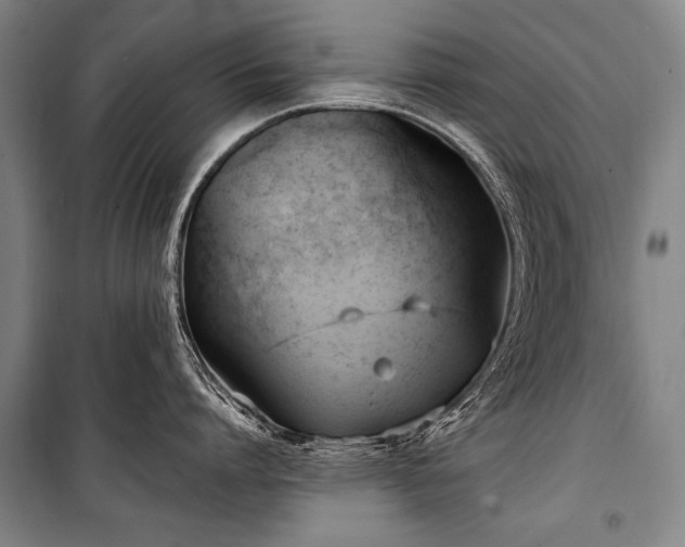 X0000101210864200806271413