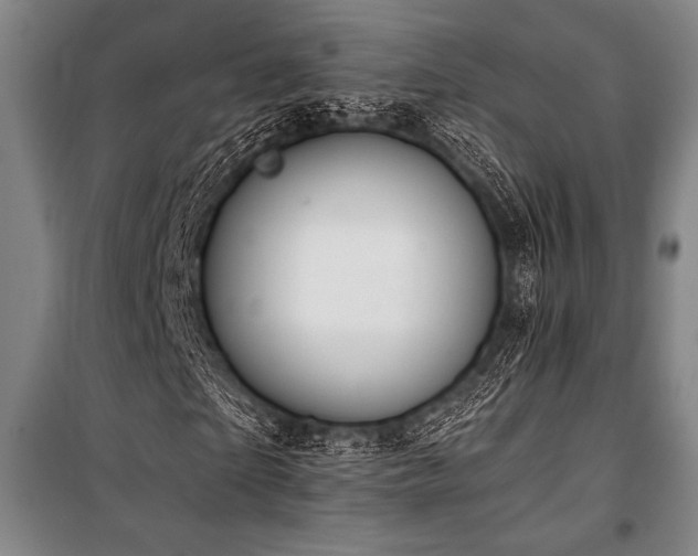 X0000101210865200806271412