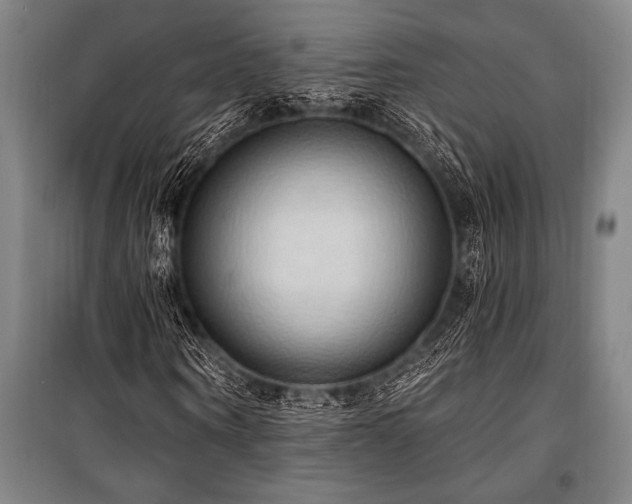 X0000101210866200806271412