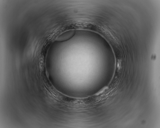 X0000101210867200806271412