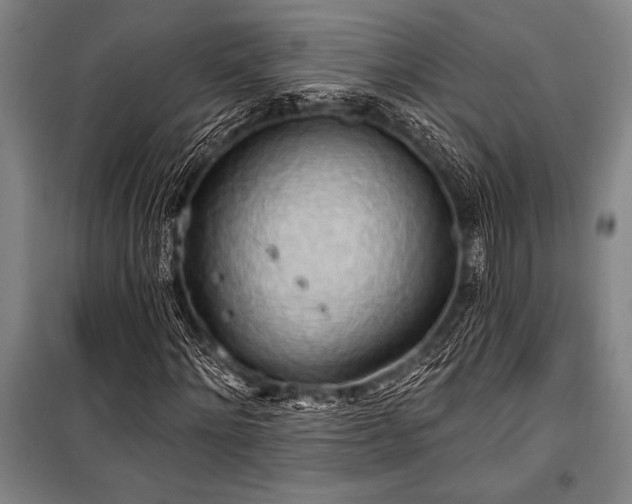 X0000101210868200806271412