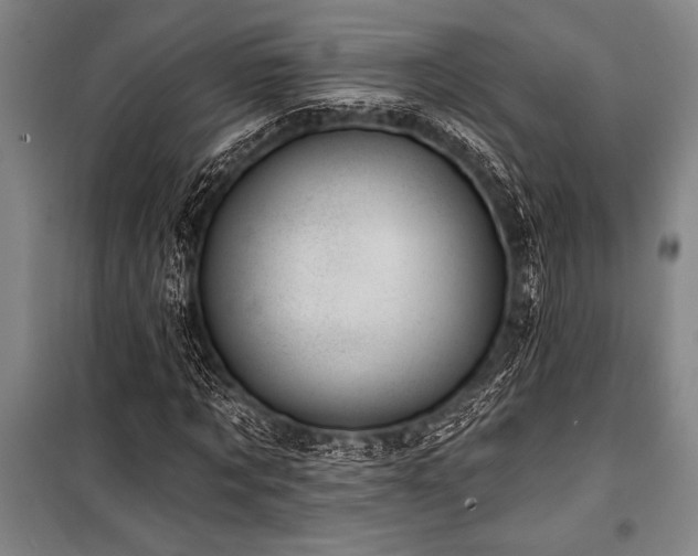 X0000101210869200806271412