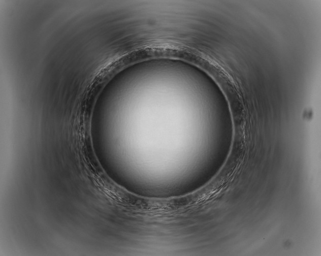 X0000101210870200806271412