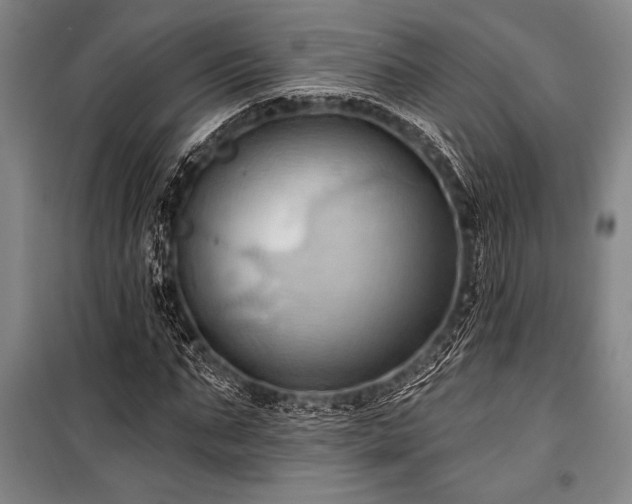 X0000101210871200806271412
