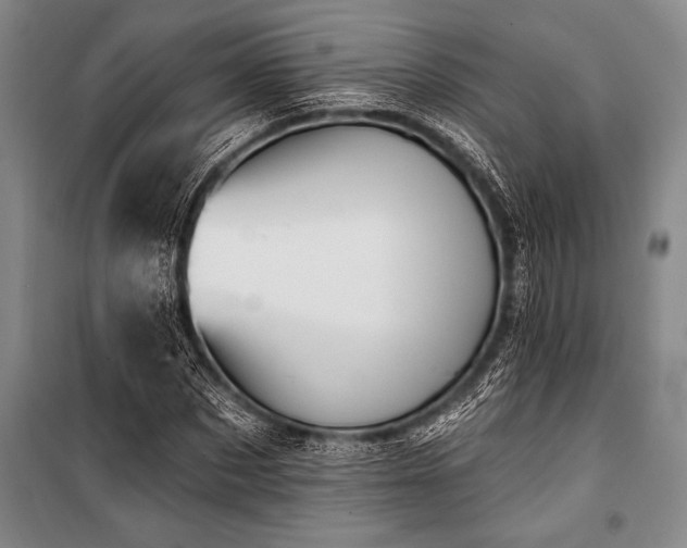 X0000101210873200806271412