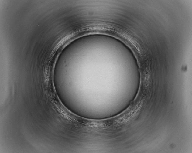 X0000101210874200806271412