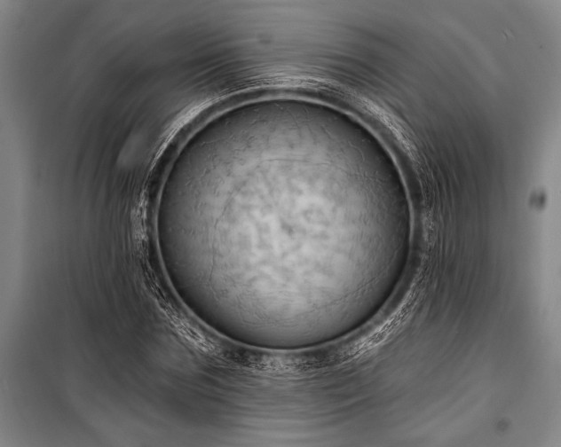 X0000101210875200806271412