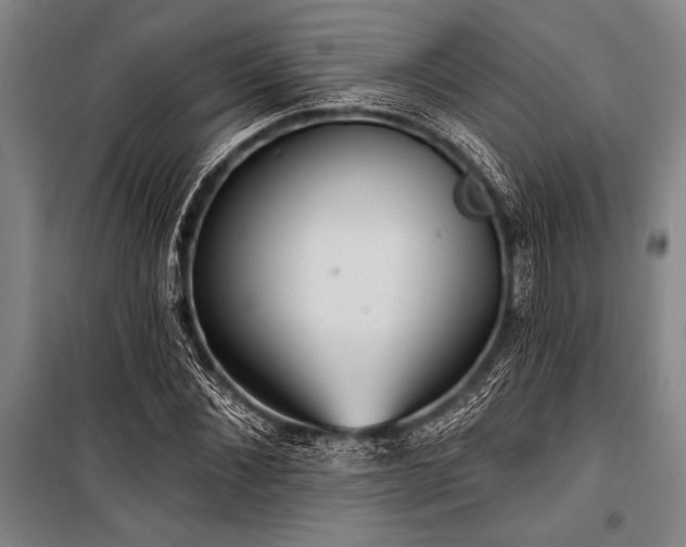 X0000101210876200806271412