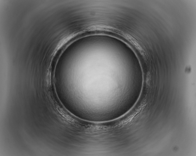X0000101210877200806271412