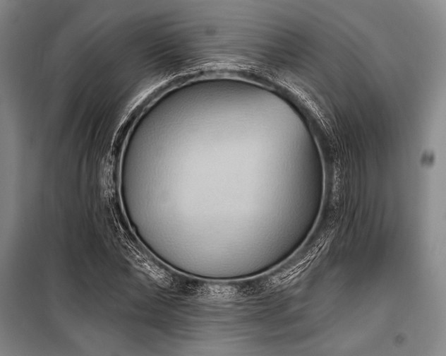 X0000101210878200806271412