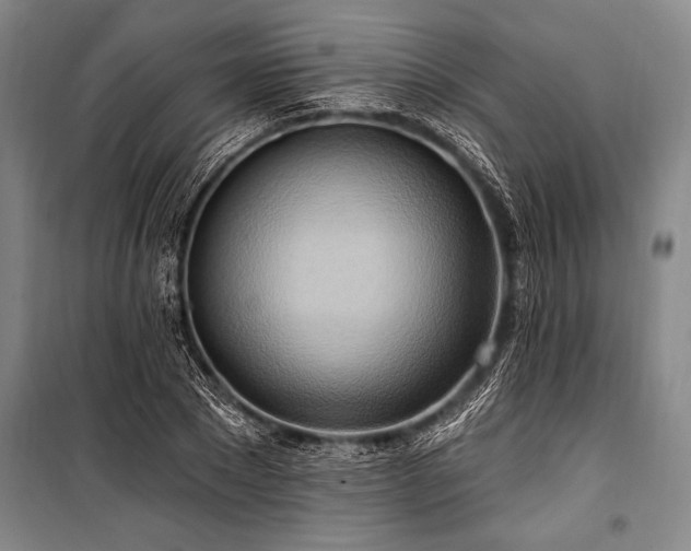 X0000101210881200806271412