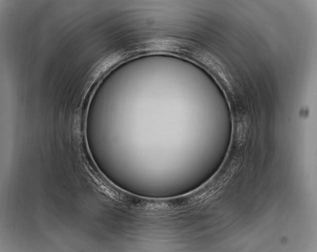 X0000101210882200806271412