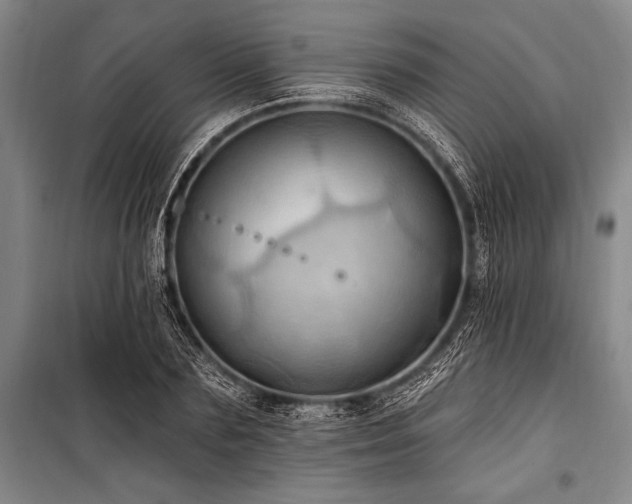 X0000101210883200806271412