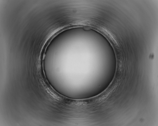 X0000101210884200806271412