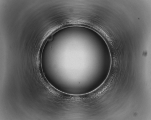 X0000101210885200806271412