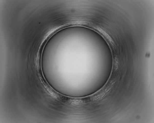 X0000101210886200806271412