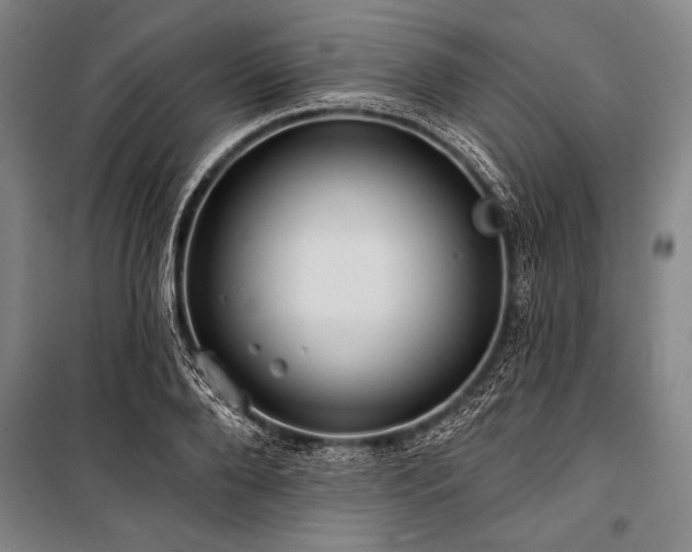 X0000101210888200806271412