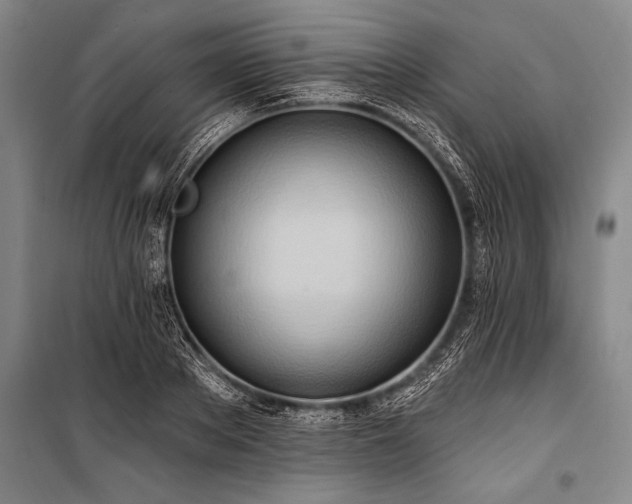 X0000101210889200806271412