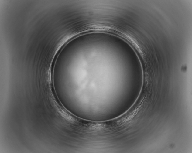 X0000101210891200806271412