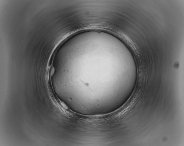 X0000101210892200806271412