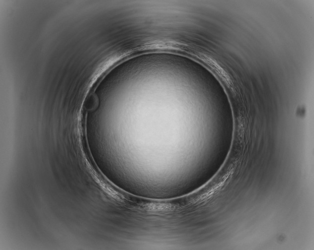 X0000101210893200806271412