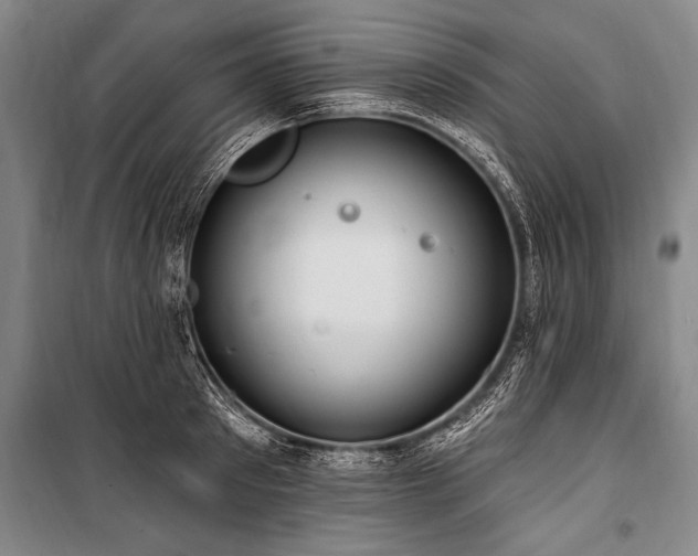 X0000101210897200806271412