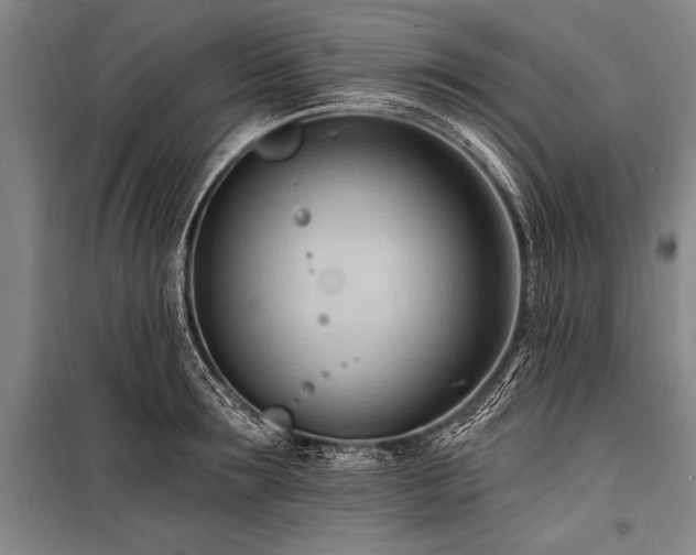X0000101210899200806271412