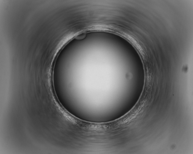 X0000101210901200806271412