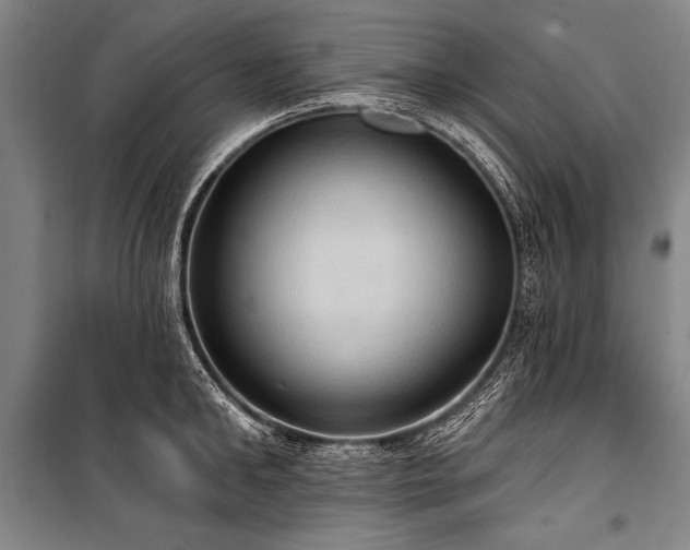 X0000101210902200806271412