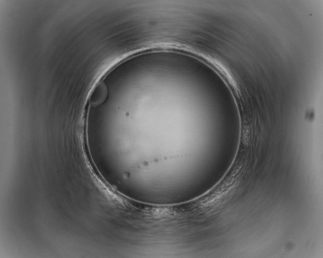 X0000101210903200806271412